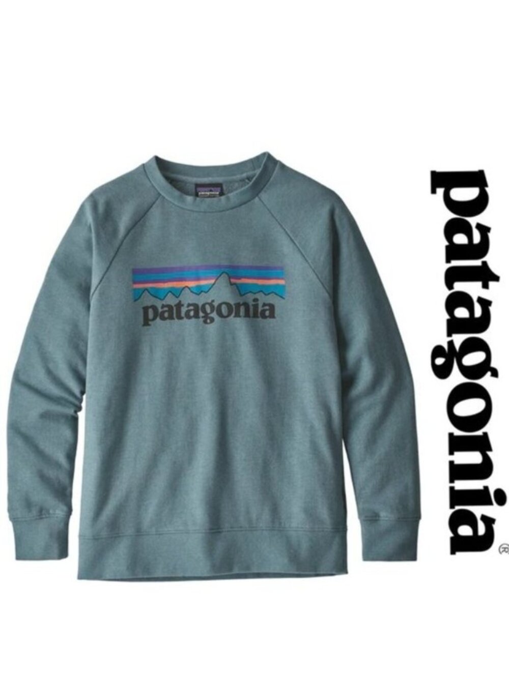Patagonia | Nouveau Green Kids' Lightweight Crew Sweatshirt | Size Extra Large